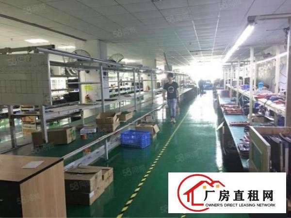  福永凤凰新出原房东5000独门独院精装修厂房出租