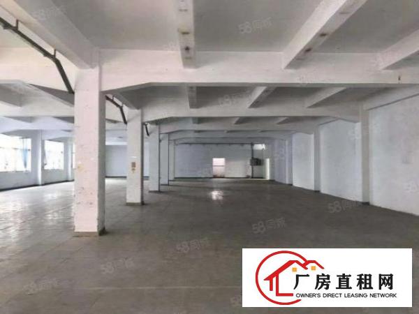  凤凰新出，原房东，厂房1250平方，实际面积，出租无公摊，