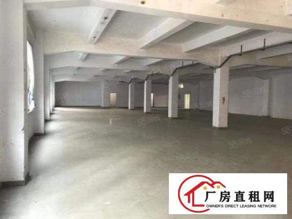  凤凰新出，原房东，厂房1250平方，实际面积，出租无公摊，