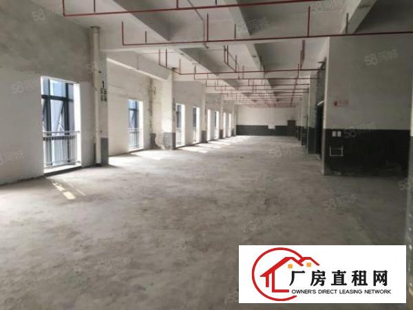  凤凰新出来独门独院独幢厂房