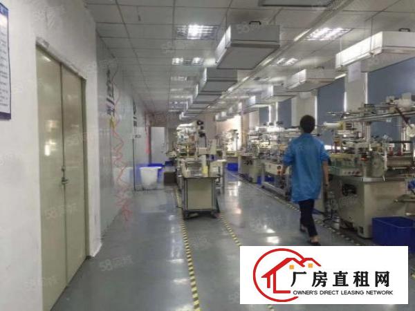  福永凤凰新出楼上750平方带净化车间模切厂出租