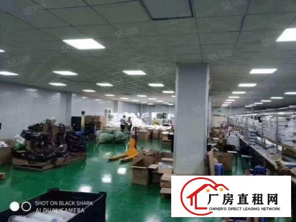  福永塘尾大型工业区新出2400平精装出租