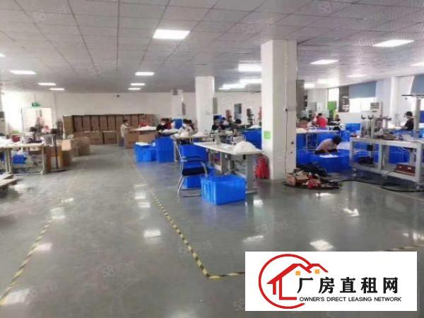  福永凤凰新出2楼整层1000平带豪装原房东厂房