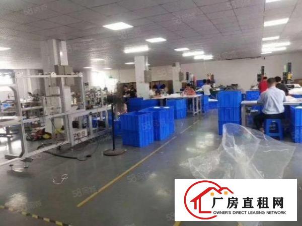  福永凤凰新出2楼整层1000平带豪装原房东厂房