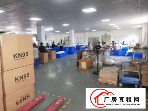  福永凤凰新出2楼整层1000平带豪装原房东厂房