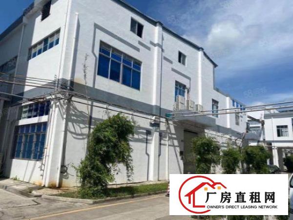  福永凤凰，新出红本钢构，3100平米独栋，无转让费