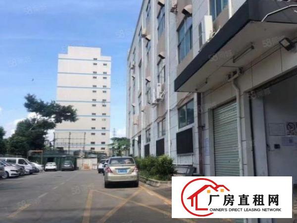  福永凤凰，新出红本钢构，3100平米独栋，无转让费