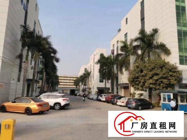  福永新出带红本厂房楼上880平园区空地大车位充足