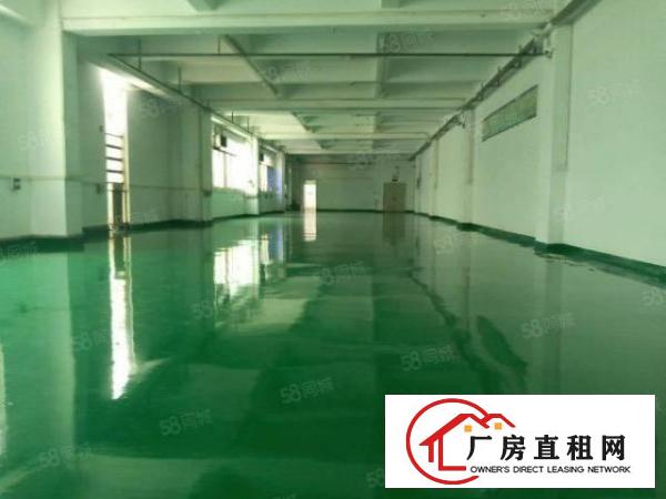  福永新出厂房800平500平300平带全新地坪漆价格优惠