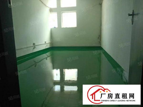  福永新出厂房800平500平300平带全新地坪漆价格优惠