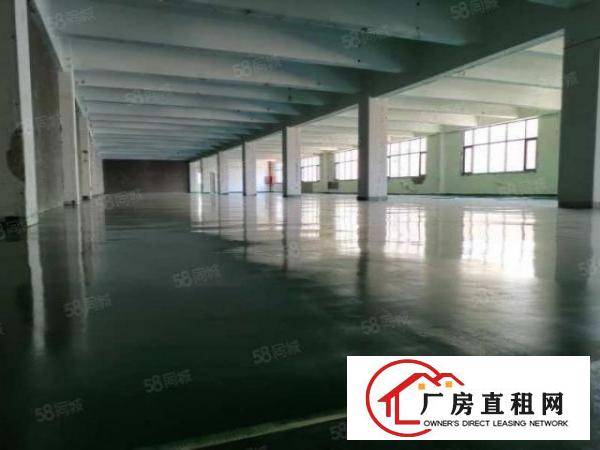  福永新出厂房800平500平300平带全新地坪漆价格优惠