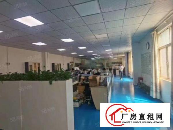  福永新出厂房800平500平300平带全新地坪漆价格优惠