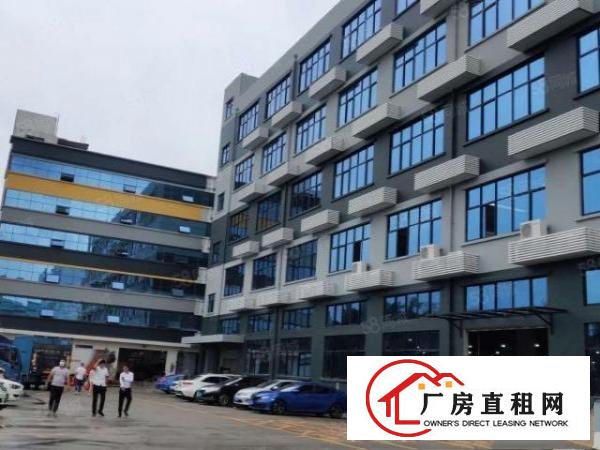  福永凤凰76平146平280平336平办公仓库招租