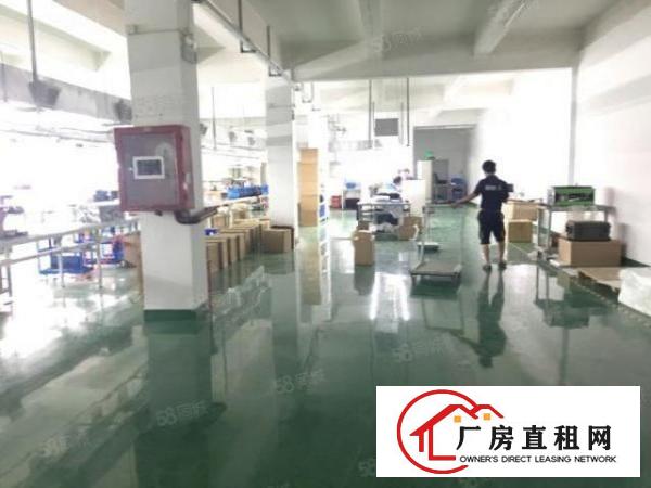  福永新出凤凰工业区1至3层4500平原房东出租