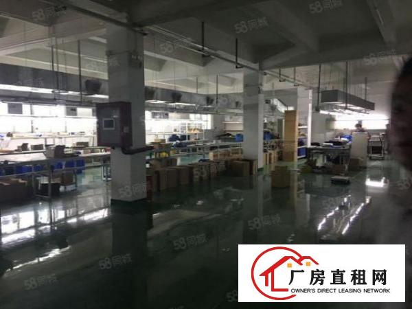  福永新出凤凰工业区1至3层4500平原房东出租