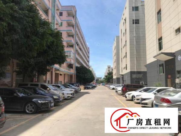  福永新和楼上全新地坪漆厂房出租