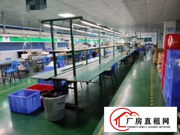  凤凰107国道边新出厂房2000平米豪华装修