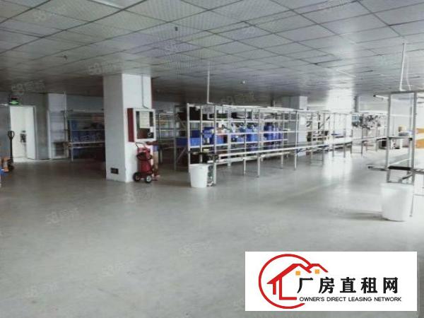  福永宝安大道边1200平带装修电子厂出租