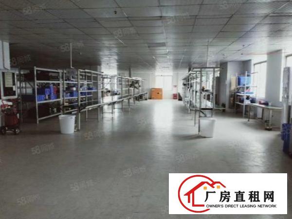  福永宝安大道边1200平带装修电子厂出租