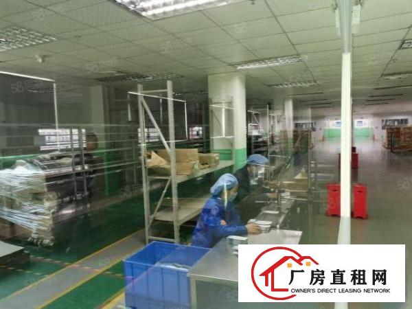  福永新出楼上1900平米原房东18块豪华装修厂房