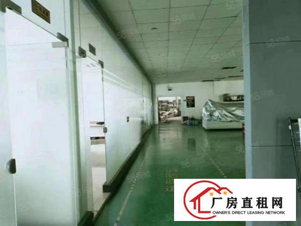  福永新和新型工业区新出1000平米精装修厂房出租招租