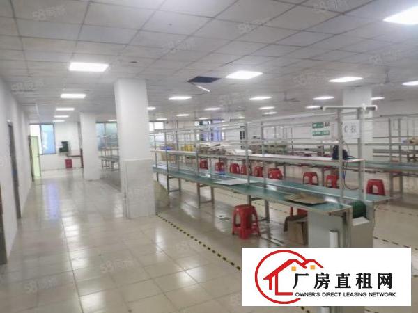  塘尾2楼650精装修厂房招租