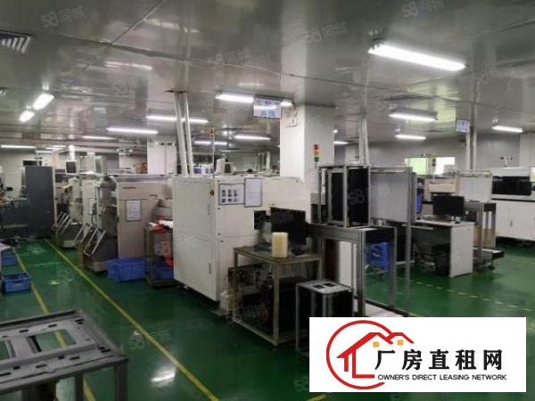  福永新和新出无尘车间出租1000平米