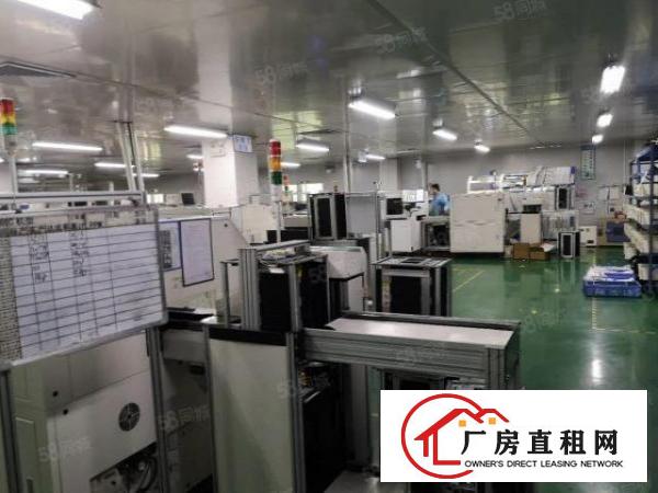  福永新和新出无尘车间出租1000平米
