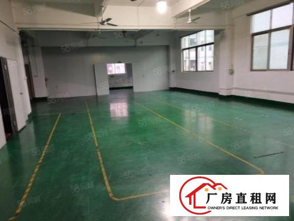  福永107国道边上新出原房东无尘车间1400平方，原房东