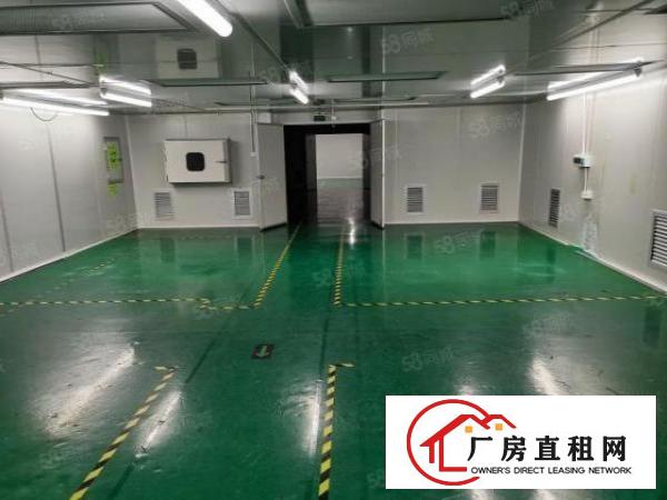  福永107国道边上新出原房东无尘车间1400平方，原房东