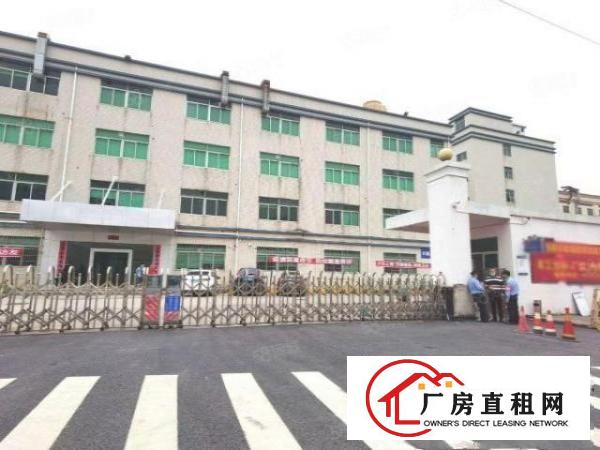  福永大洋田20元厂房出租1400平方，带装修可随时谈定