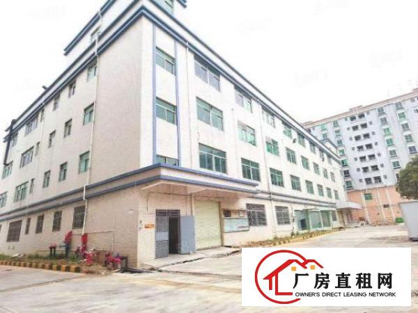  福永大洋田20元厂房出租1400平方，带装修可随时谈定