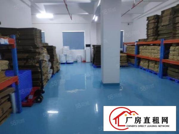  福永新和村委厂房整层2200平方，带地坪漆，办公室，水电到位