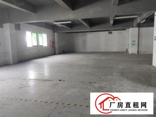 福永多规格厂房出租300至500平2000平23元起