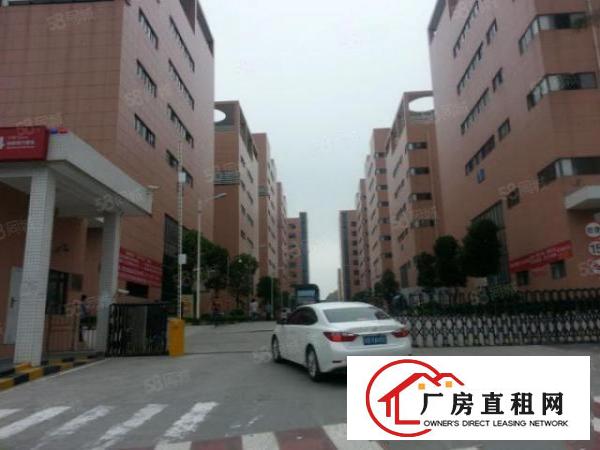  福永桥头新出豪华装修二楼厂房2300平方出租