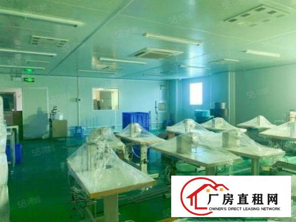  福永新和新出楼上精装修1250平，可拎包入住！