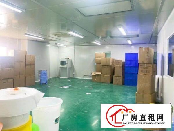  福永新和新出楼上精装修1250平，可拎包入住！