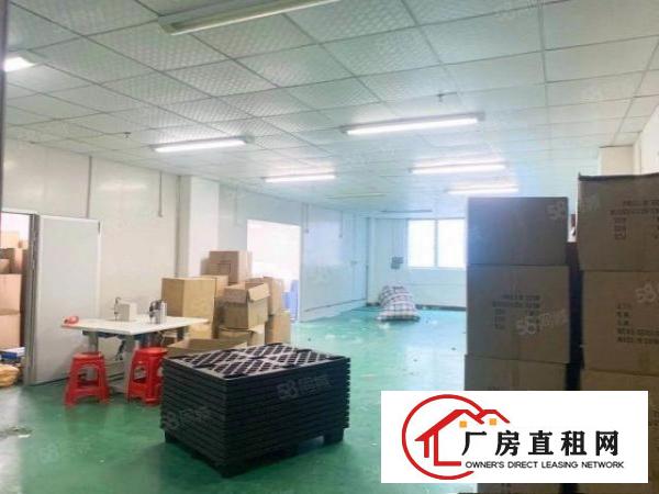  福永新和新出楼上精装修1250平，可拎包入住！