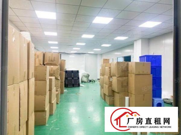  福永新和新出楼上精装修1250平，可拎包入住！