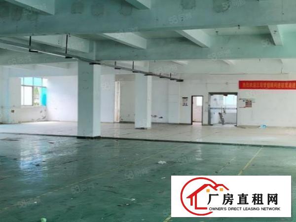  福永凤凰新出二楼整层1300平方全空厂房，每平方16元！