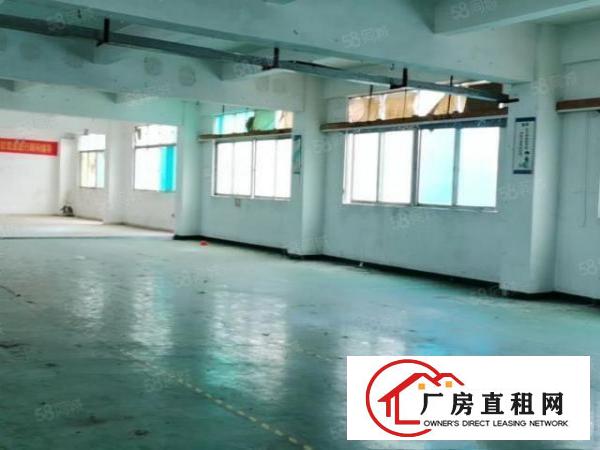  福永凤凰新出二楼整层1300平方全空厂房，每平方16元！