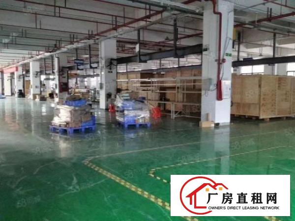  福永厂房出租厂房一楼1200平方可分租深圳厂房村委高新工业园