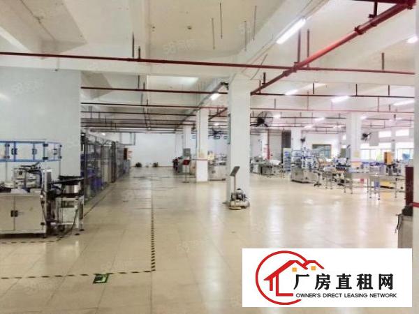  经典房！福永独院8000平厂房分租豪装修带喷淋消防形象。