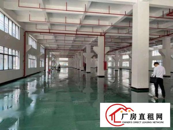  经典房！福永独院8000平厂房分租豪装修带喷淋消防形象。