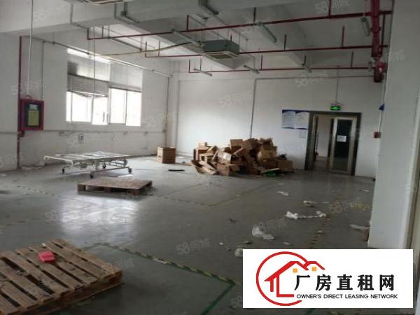  福永新和新兴工业区装修厂房1200平出租