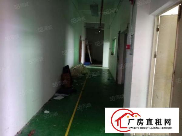  福永新和新兴工业区装修厂房1200平出租