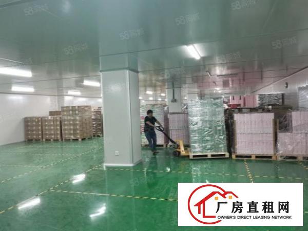  福永桥头宝安大道附近850平方精装修厂房招租