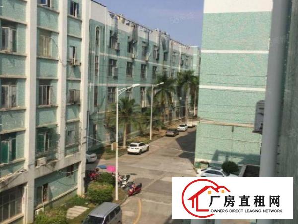  福永白石厦500平厂房出租！二楼带中央空调水电到位无转让费
