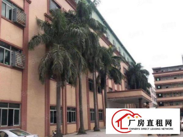  福永新和工业区750平米带装修交通便利形象好