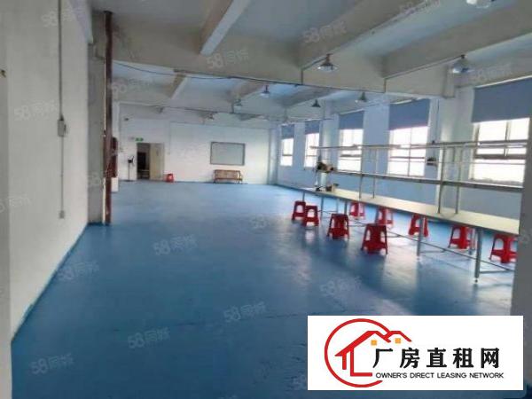  福永新和工业区750平米带装修交通便利形象好